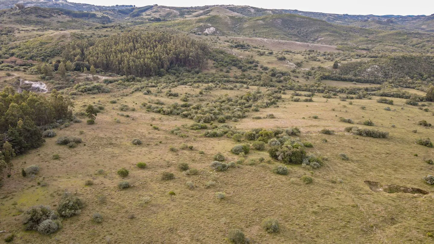 Venta de Chacra en Pueblo Edén, Maldonado. — foto 2