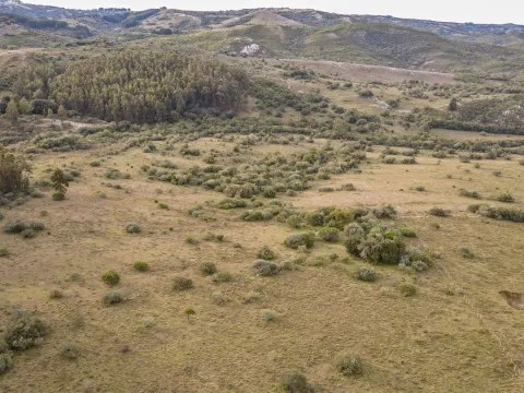 Venta de Chacra en Pueblo Edén, Maldonado. — foto 2