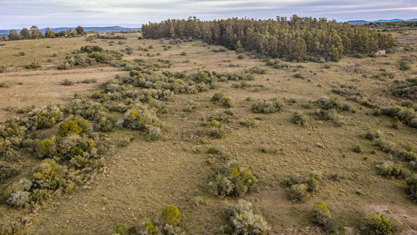 Venta de Chacra en Pueblo Edén, Maldonado. — foto 3