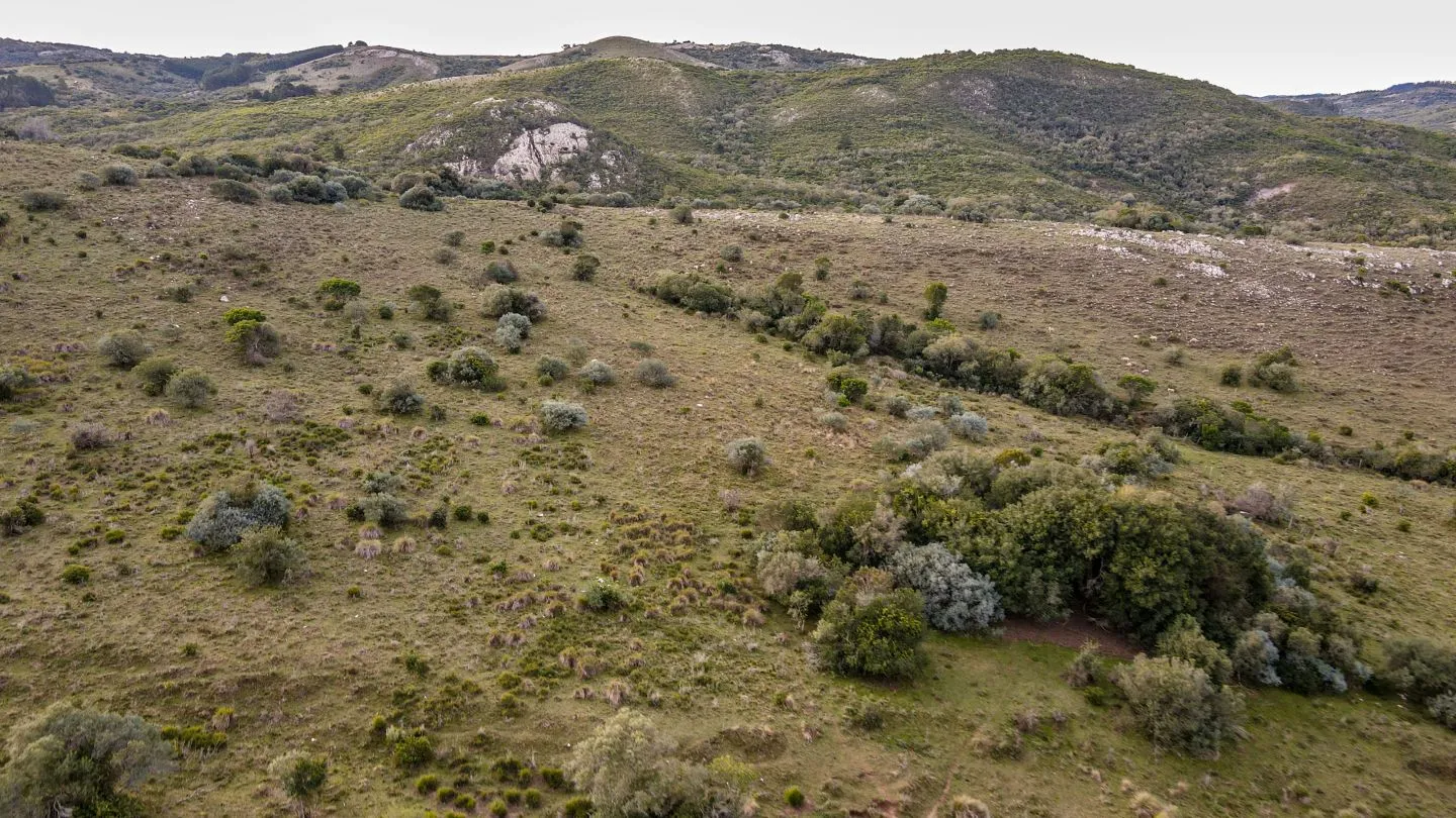 Venta de Chacra en Pueblo Edén, Maldonado. — foto 4