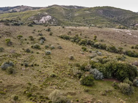 Venta de Chacra en Pueblo Edén, Maldonado. — foto 4