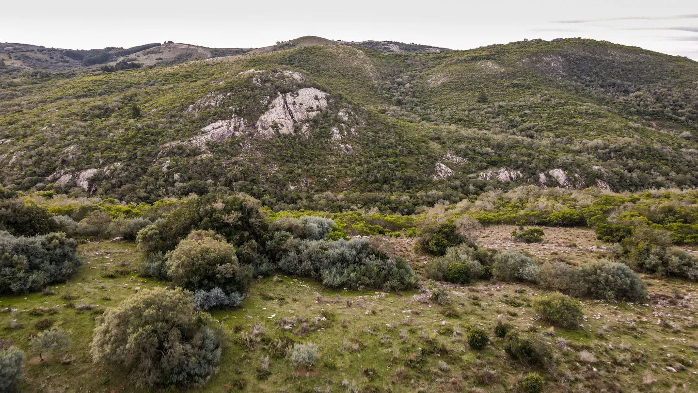 Venta de Chacra en Pueblo Edén, Maldonado. — foto 5