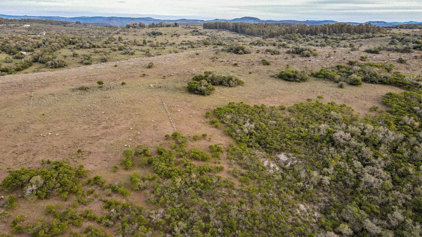 Venta de Chacra en Pueblo Edén, Maldonado. — foto 6