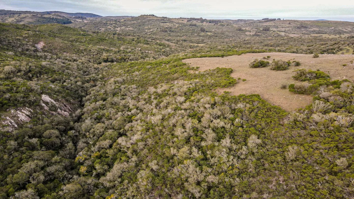 Venta de Chacra en Pueblo Edén, Maldonado. — foto 7