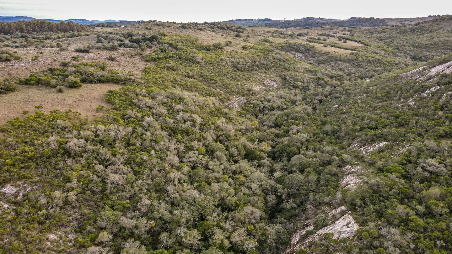 Venta de Chacra en Pueblo Edén, Maldonado. — foto 8