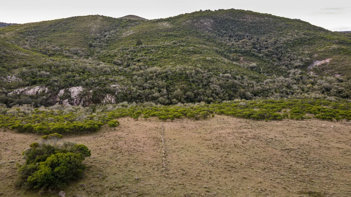Venta de Chacra en Pueblo Edén, Maldonado. — foto 10