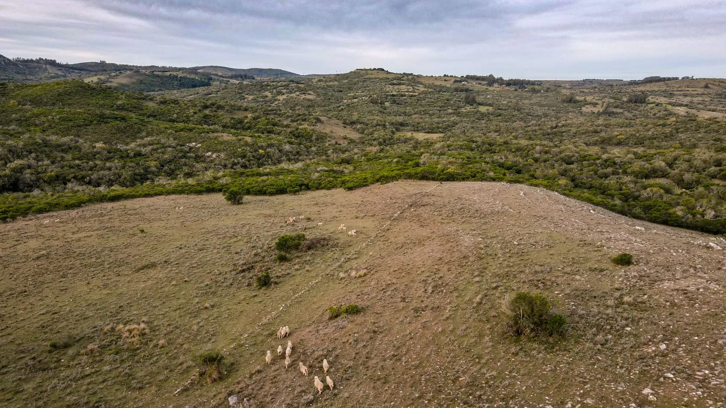 Venta de Chacra en Pueblo Edén, Maldonado. — foto 11