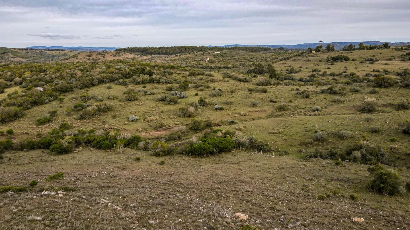Venta de Chacra en Pueblo Edén, Maldonado. — foto 12