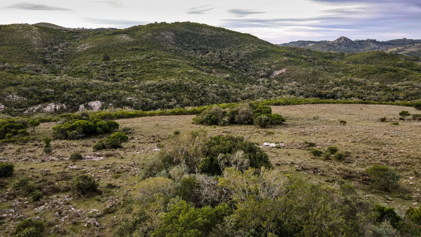 Venta de Chacra en Pueblo Edén, Maldonado. — foto 13