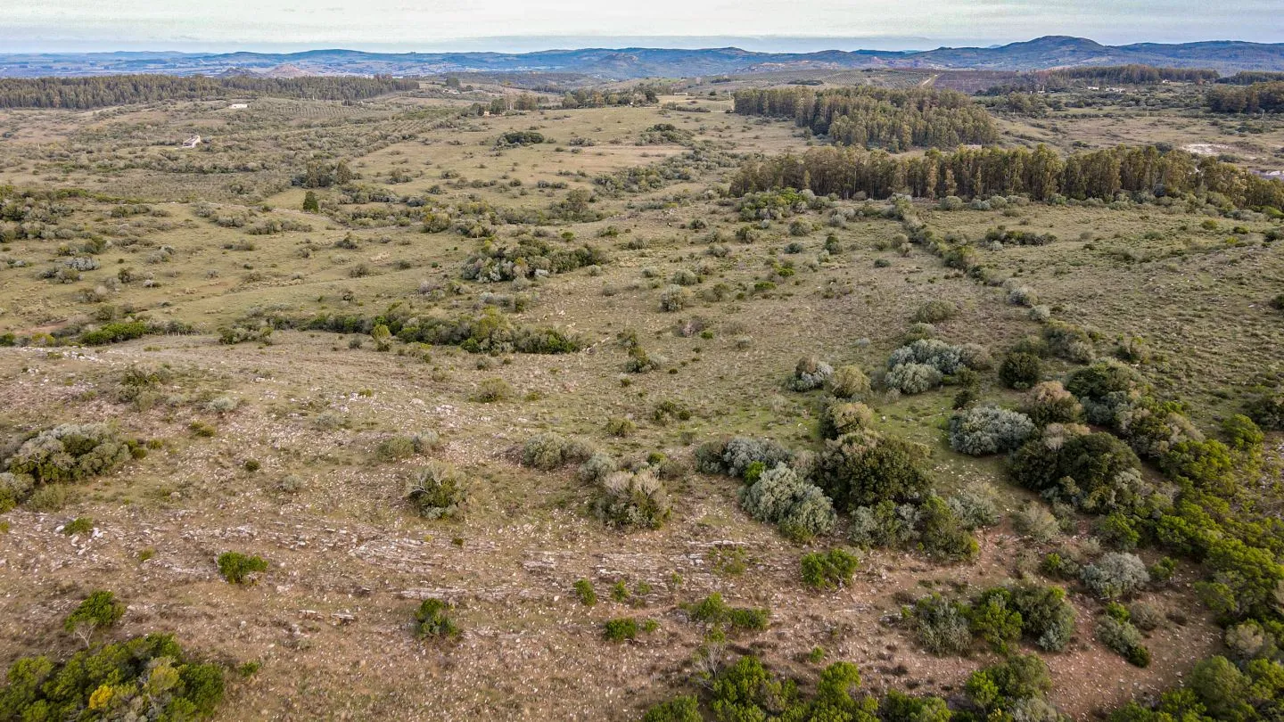 Venta de Chacra en Pueblo Edén, Maldonado. — foto 14