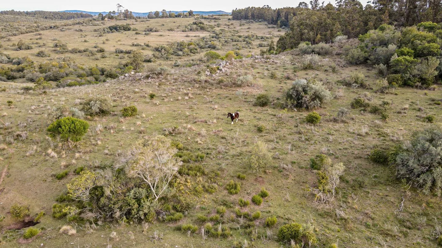 Venta de Chacra en Pueblo Edén, Maldonado. — foto 15