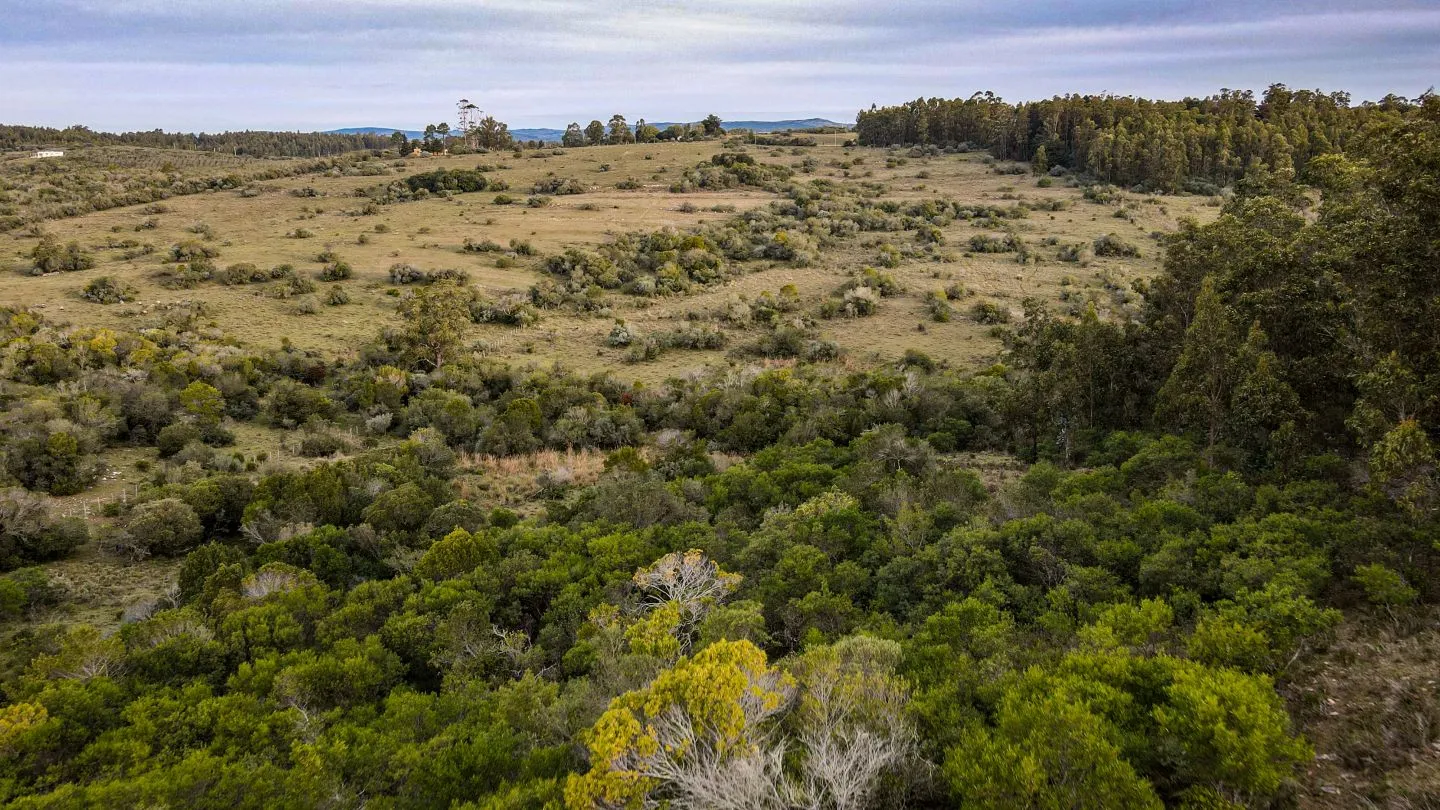 Venta de Chacra en Pueblo Edén, Maldonado. — foto 16
