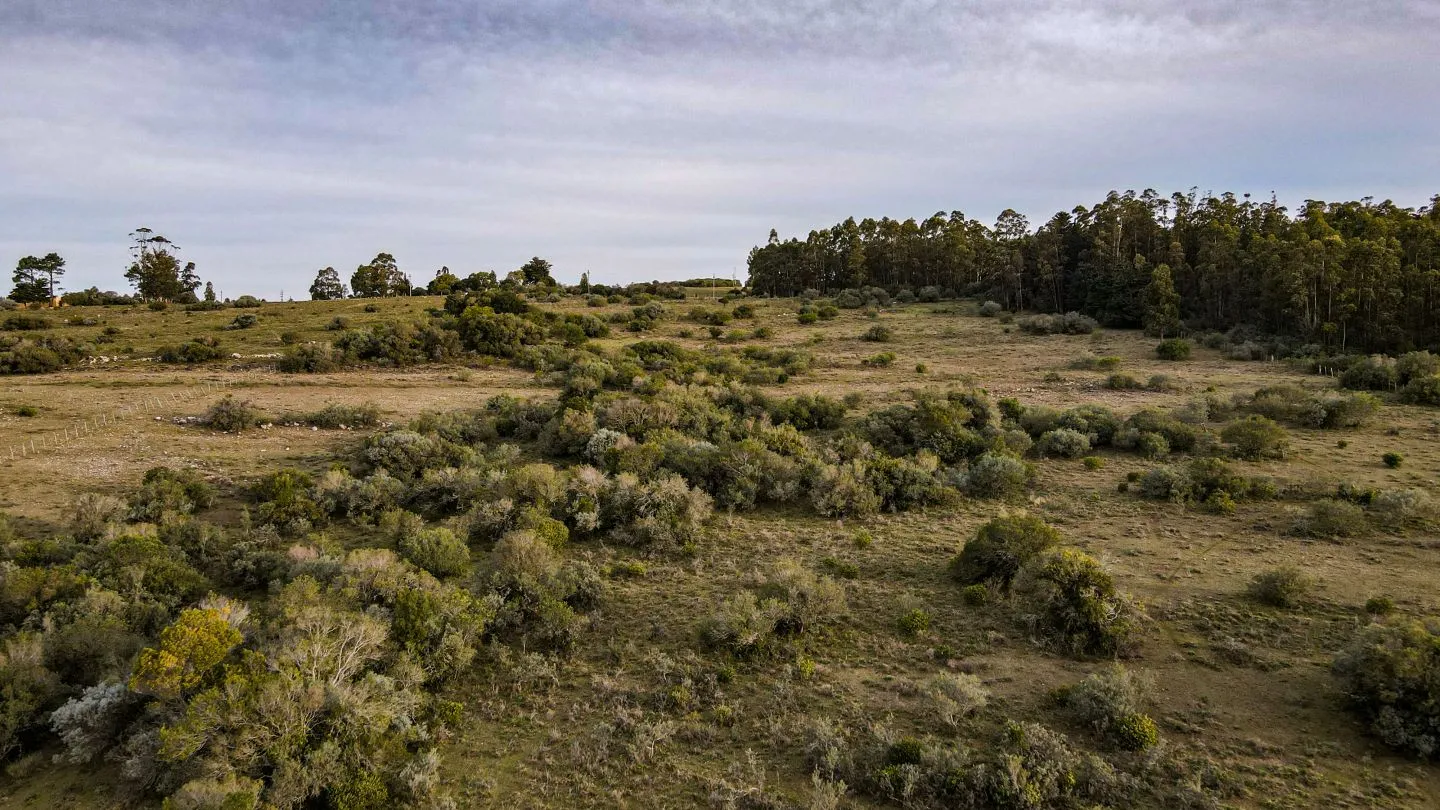 Venta de Chacra en Pueblo Edén, Maldonado. — foto 17