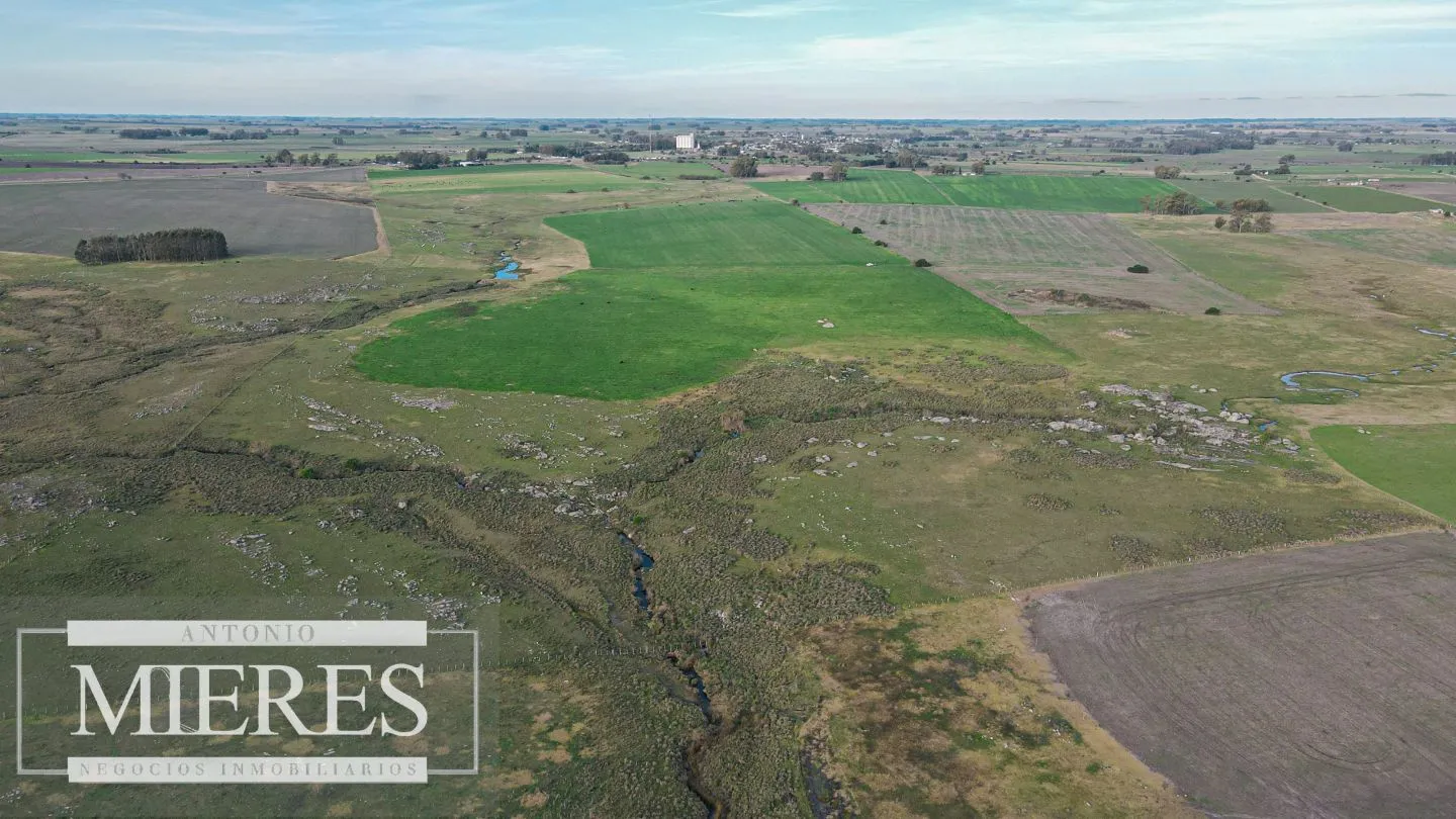 Chacra / Campo 110 ha en Soriano — foto 3