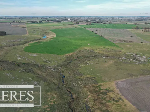 Chacra / Campo 110 ha en Soriano — foto 3