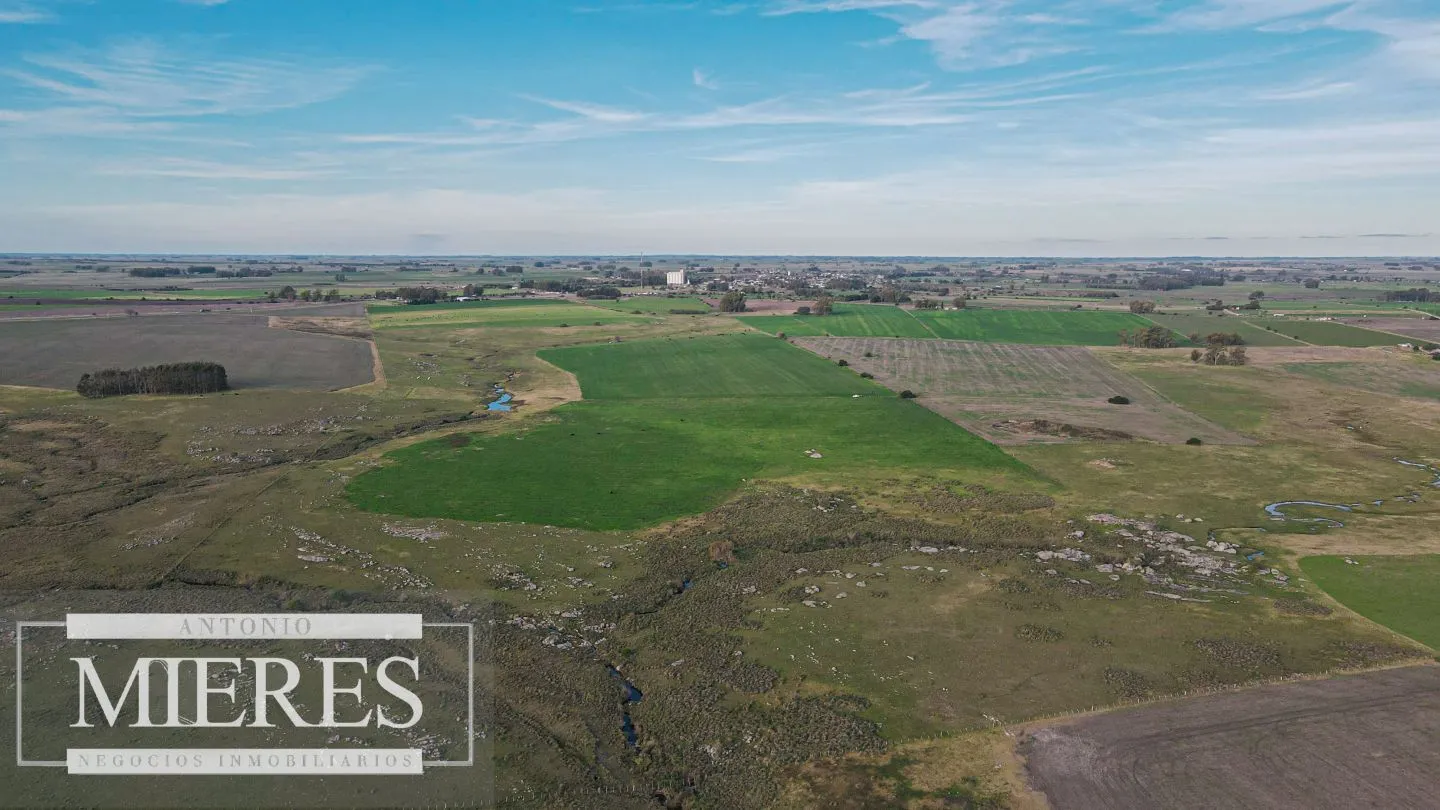Chacra / Campo 110 ha en Soriano — foto 4
