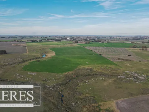 Chacra / Campo 110 ha en Soriano — foto 4