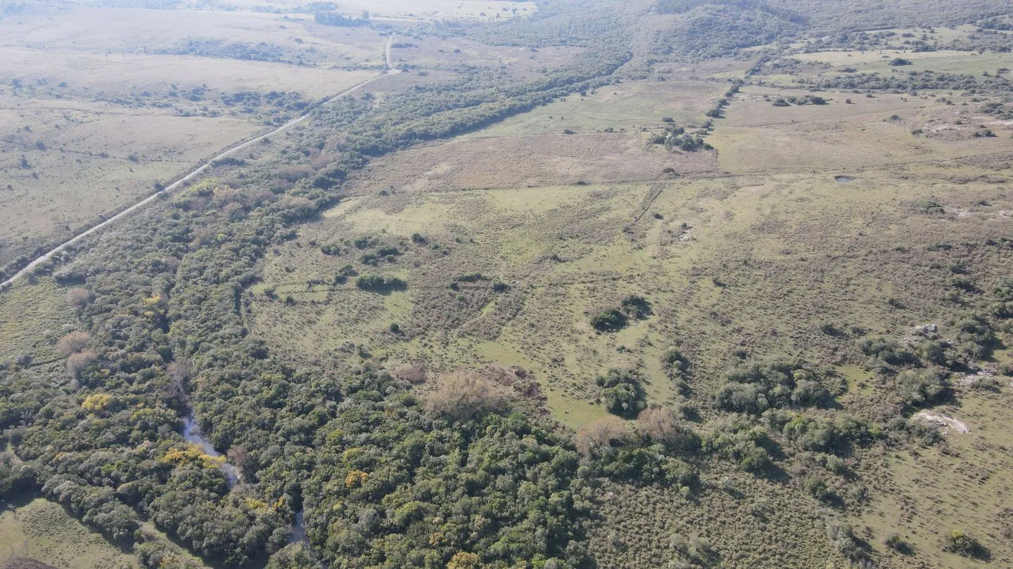 Campo de 55ha en Maldonado — foto 1