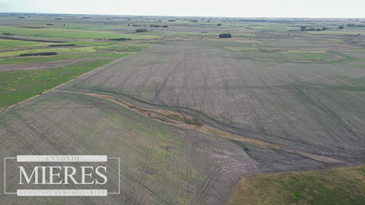 Chacra / Campo 110 ha en Soriano — foto 6