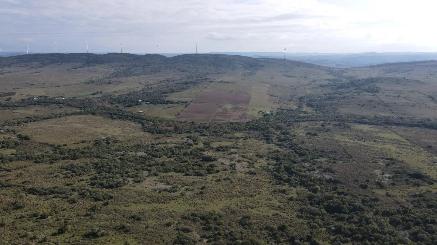 Campo de 55ha en Maldonado — foto 2