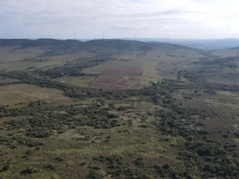 Campo de 55ha en Maldonado — foto 2