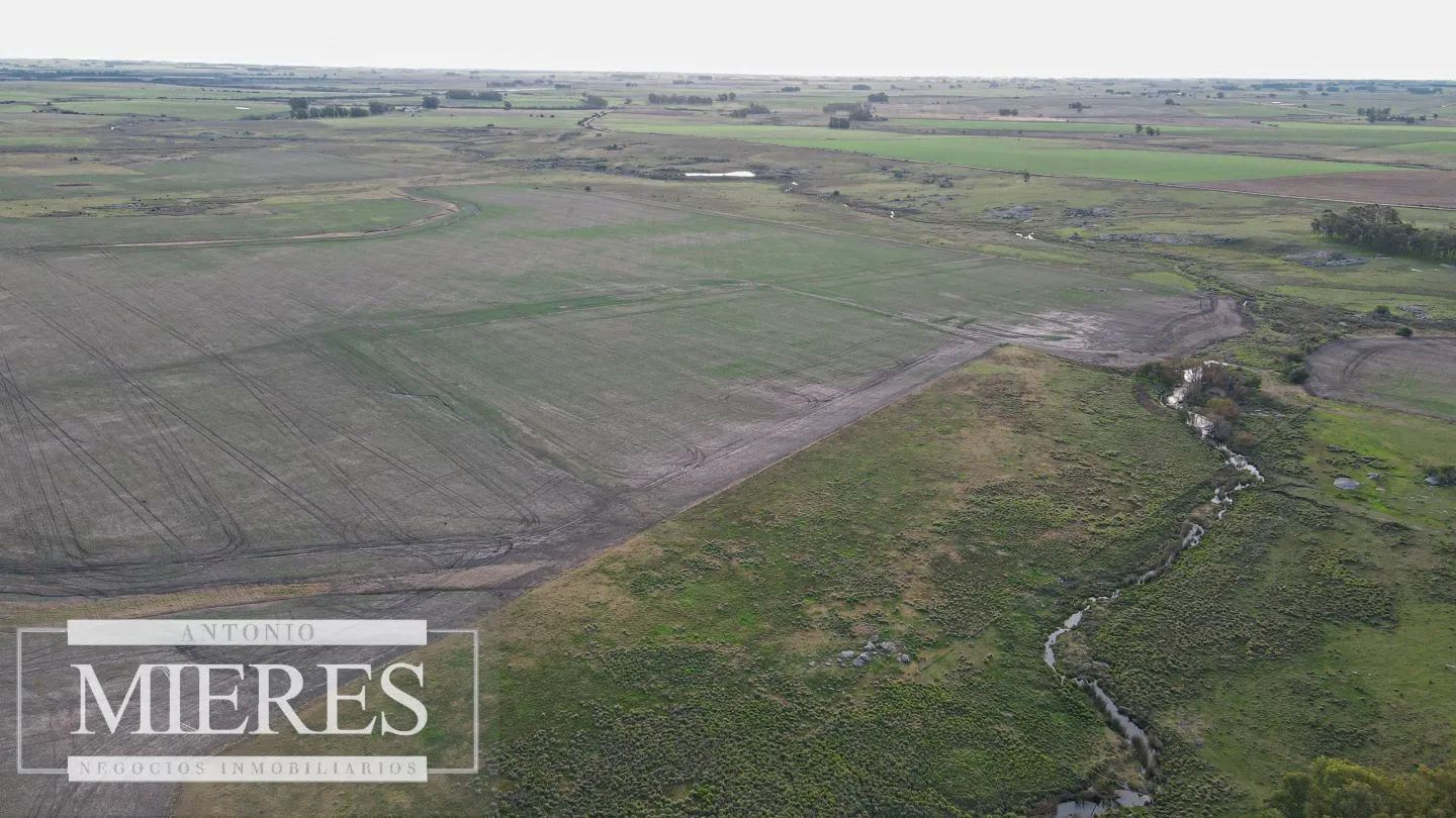 Chacra / Campo 110 ha en Soriano — foto 7