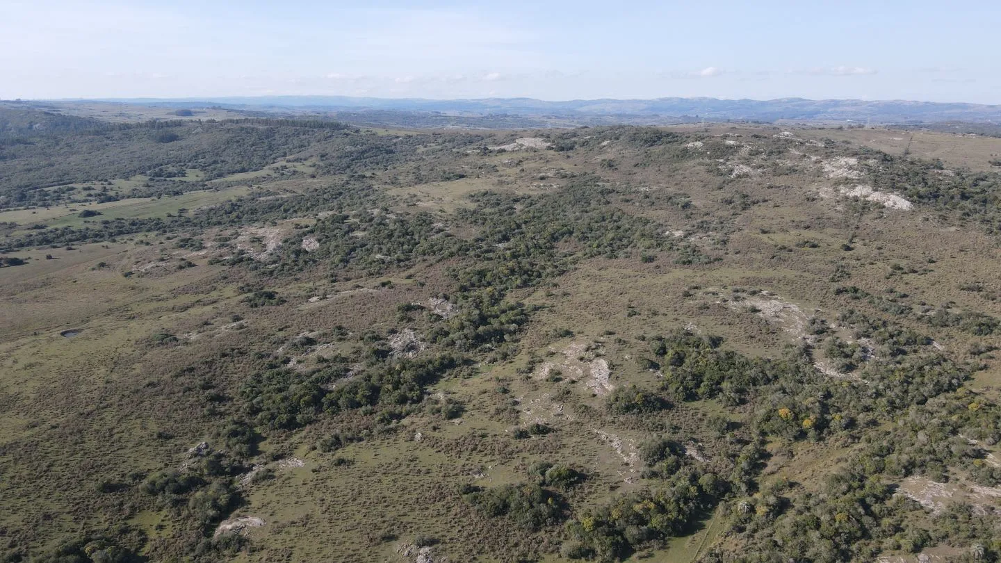 Campo de 55ha en Maldonado — foto 3