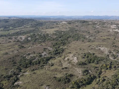 Campo de 55ha en Maldonado — foto 3