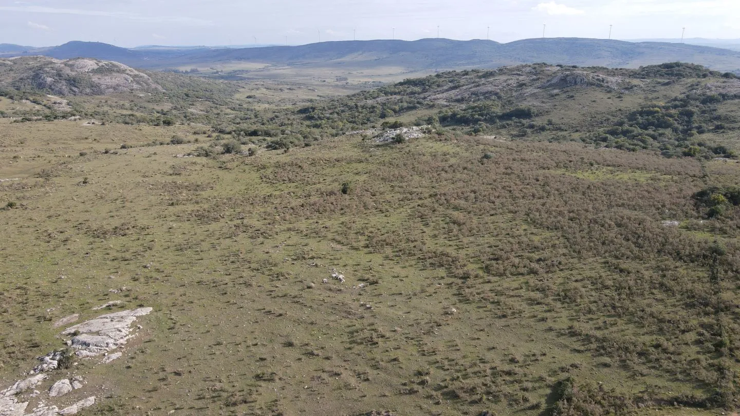 Campo de 55ha en Maldonado — foto 4
