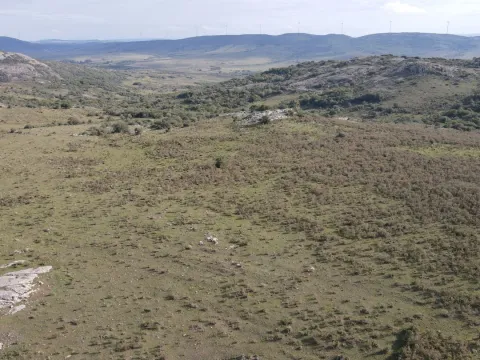 Campo de 55ha en Maldonado — foto 4