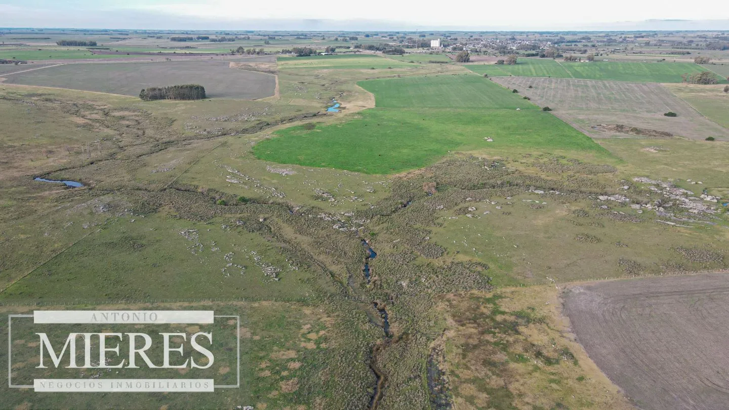 Chacra / Campo 110 ha en Soriano — foto 10