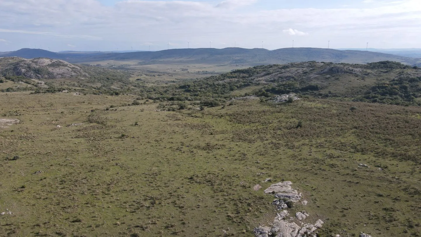 Campo de 55ha en Maldonado — foto 6