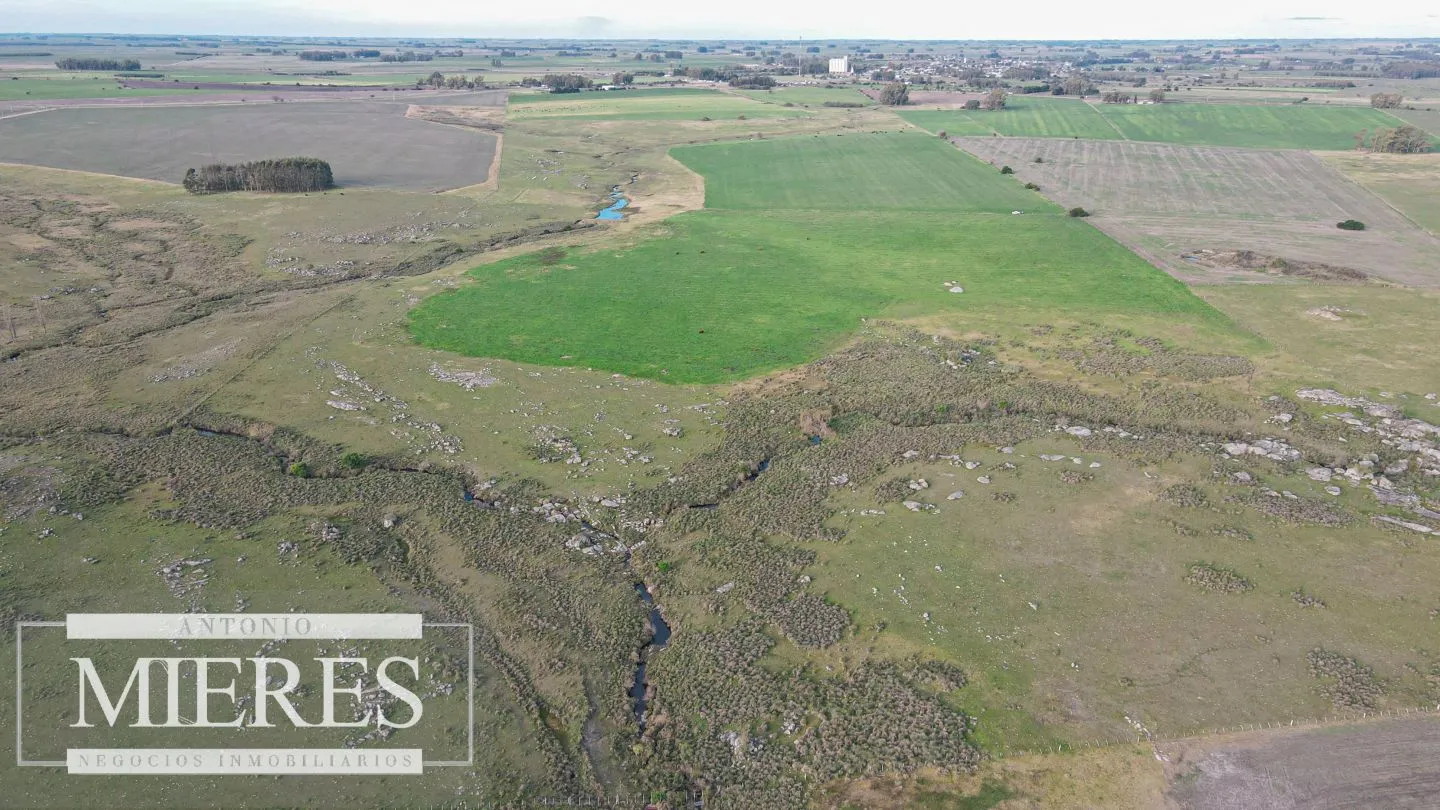 Chacra / Campo 110 ha en Soriano — foto 11