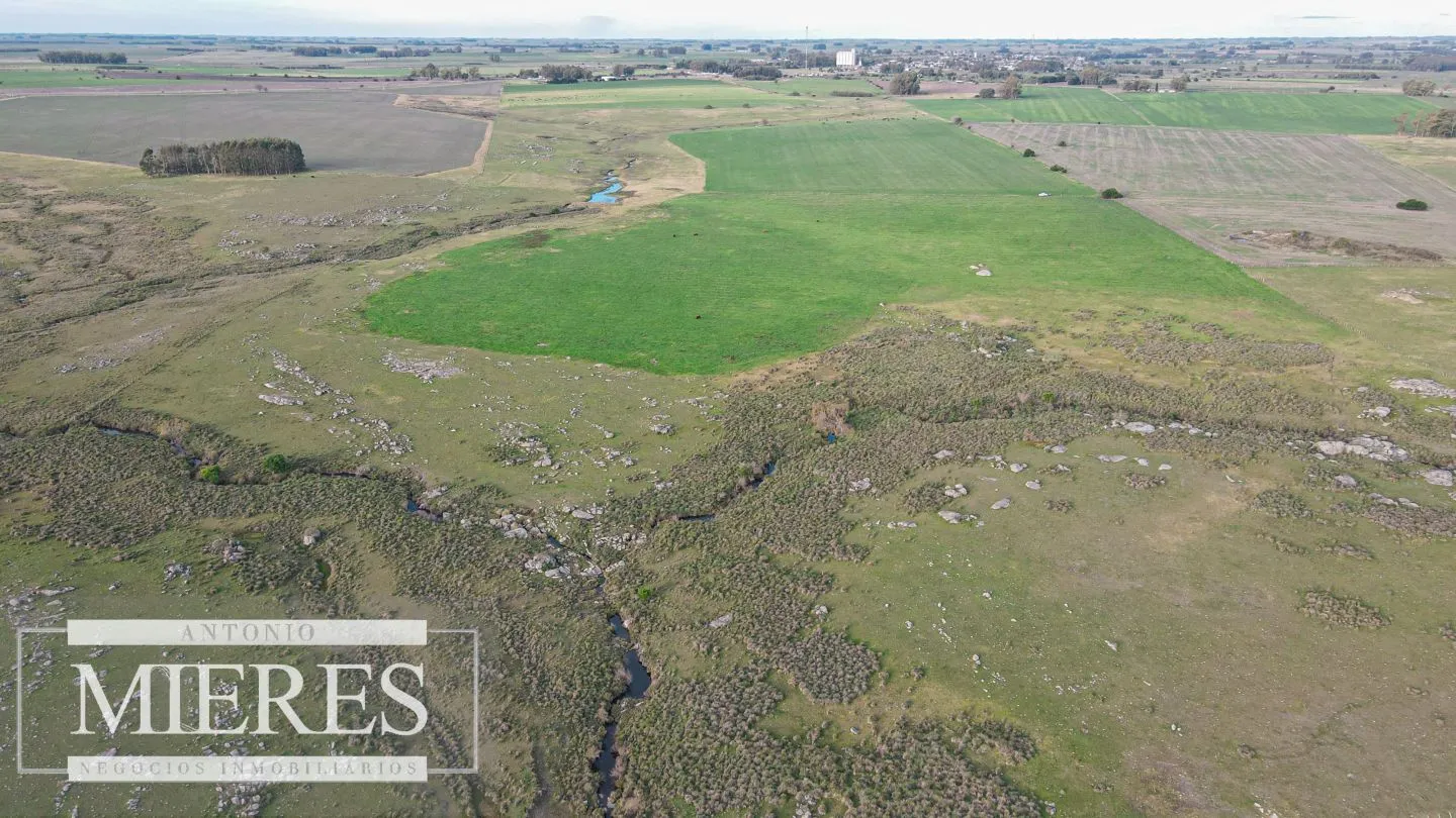 Chacra / Campo 110 ha en Soriano — foto 12