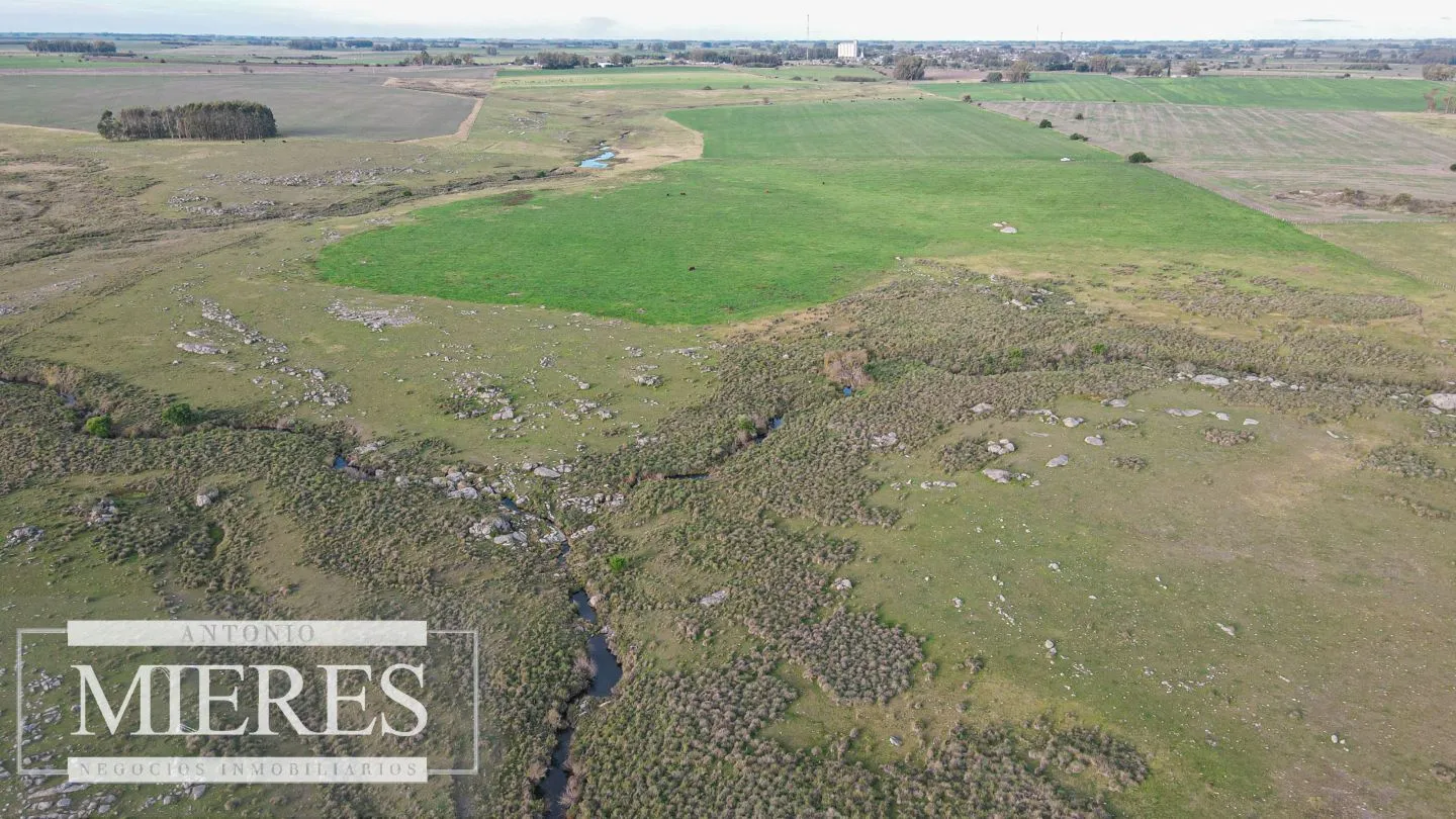 Chacra / Campo 110 ha en Soriano — foto 13
