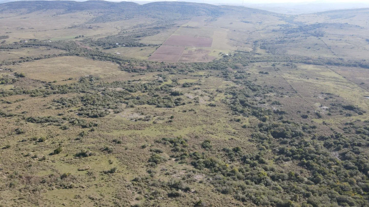 Campo de 55ha en Maldonado — foto 9