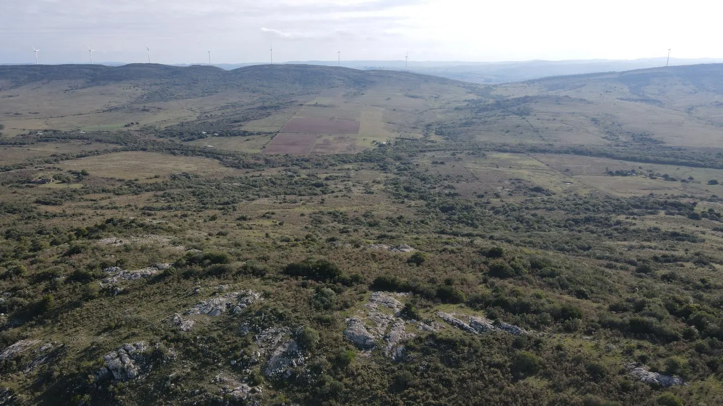 Campo de 55ha en Maldonado — foto 10