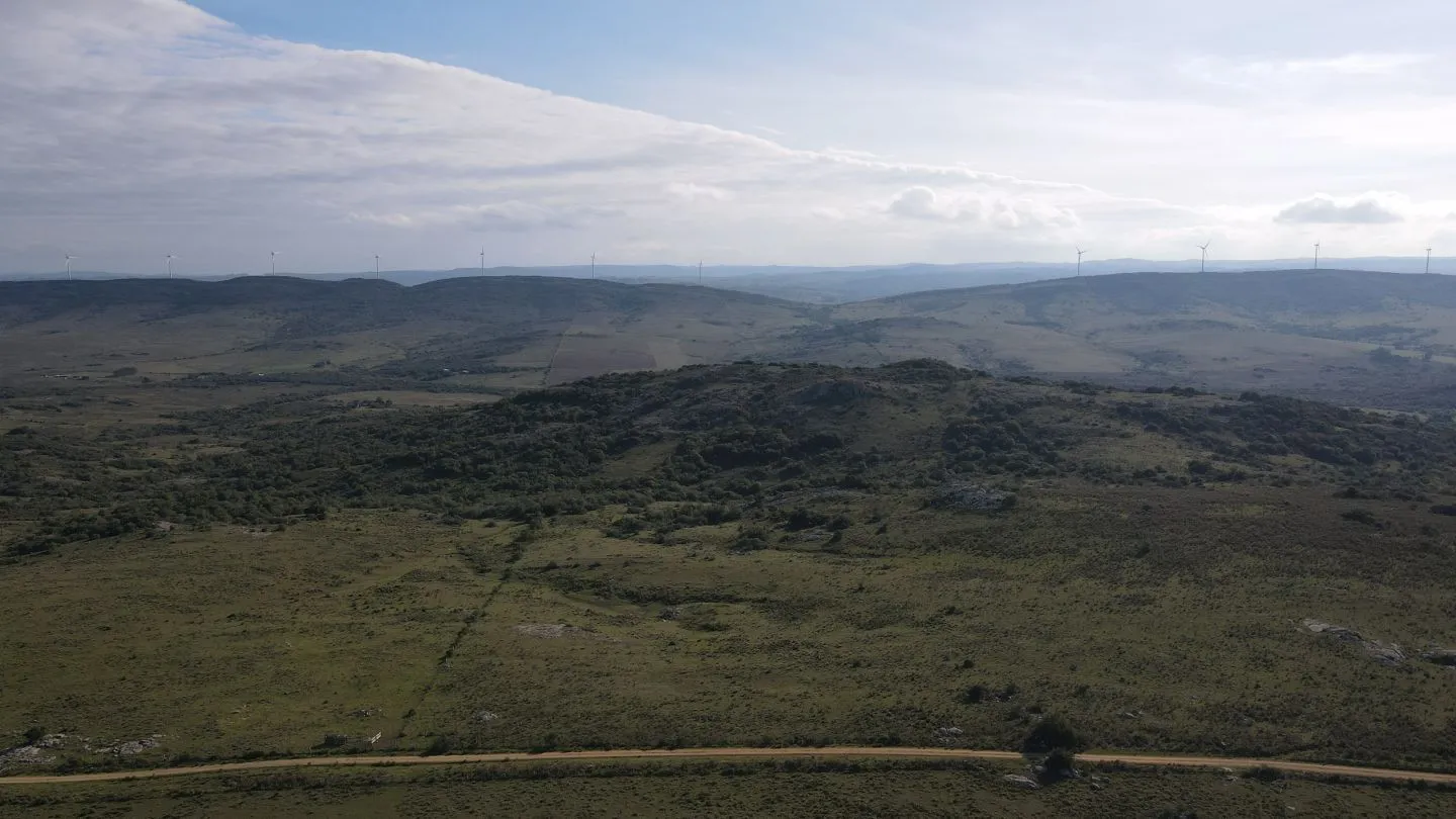 Campo de 55ha en Maldonado — foto 11