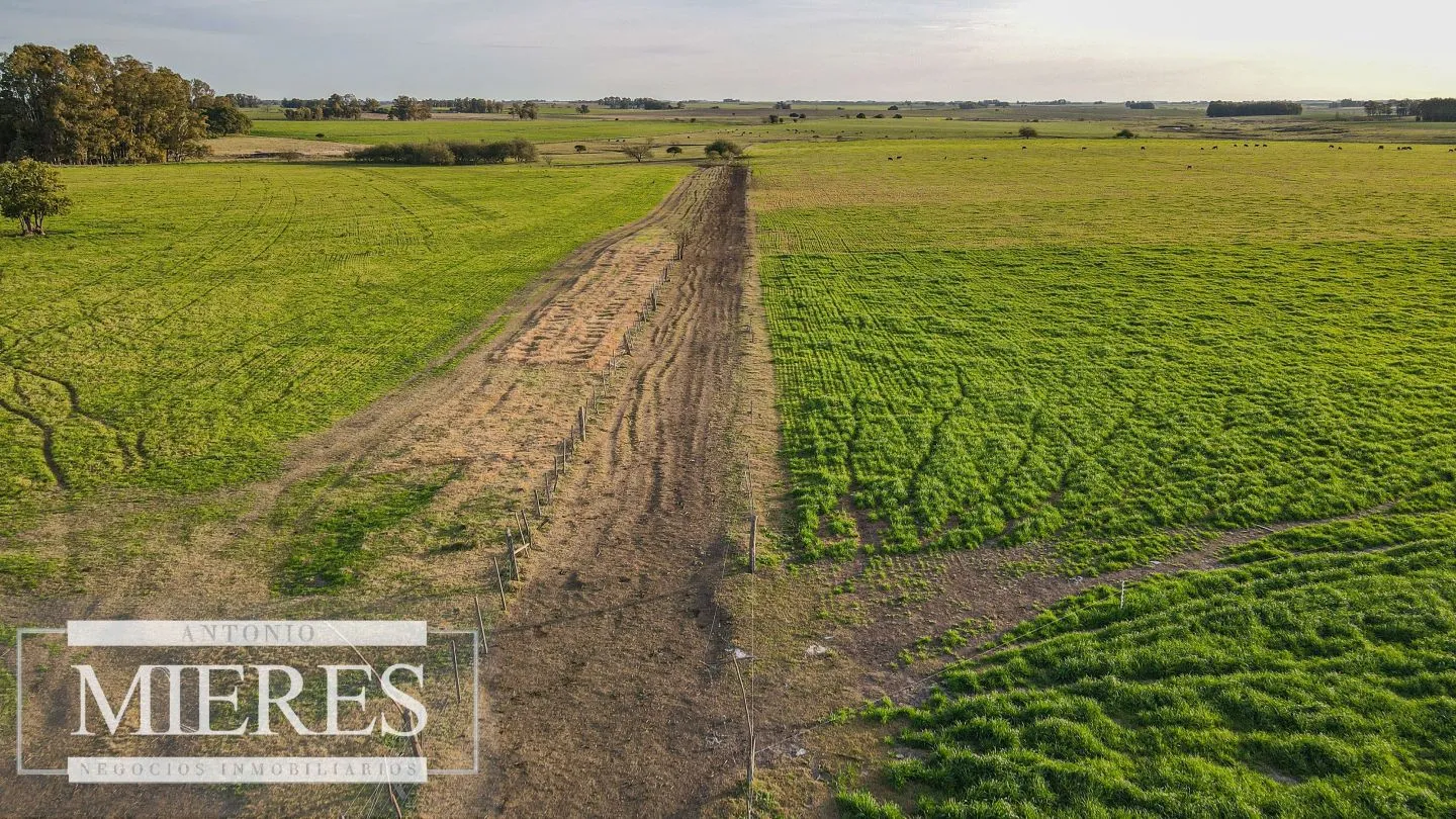Chacra / Campo 110 ha en Soriano — foto 16