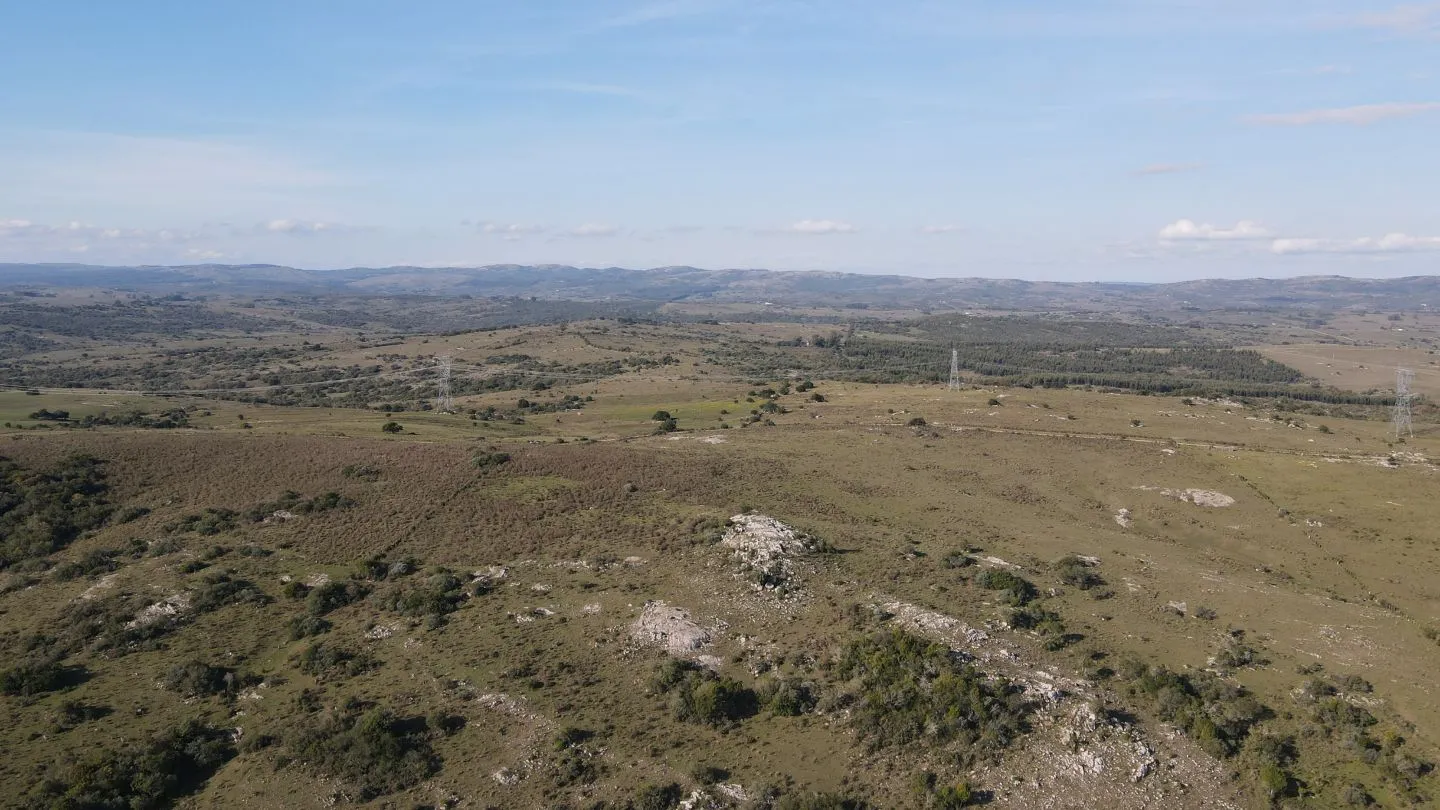 Campo de 55ha en Maldonado — foto 12