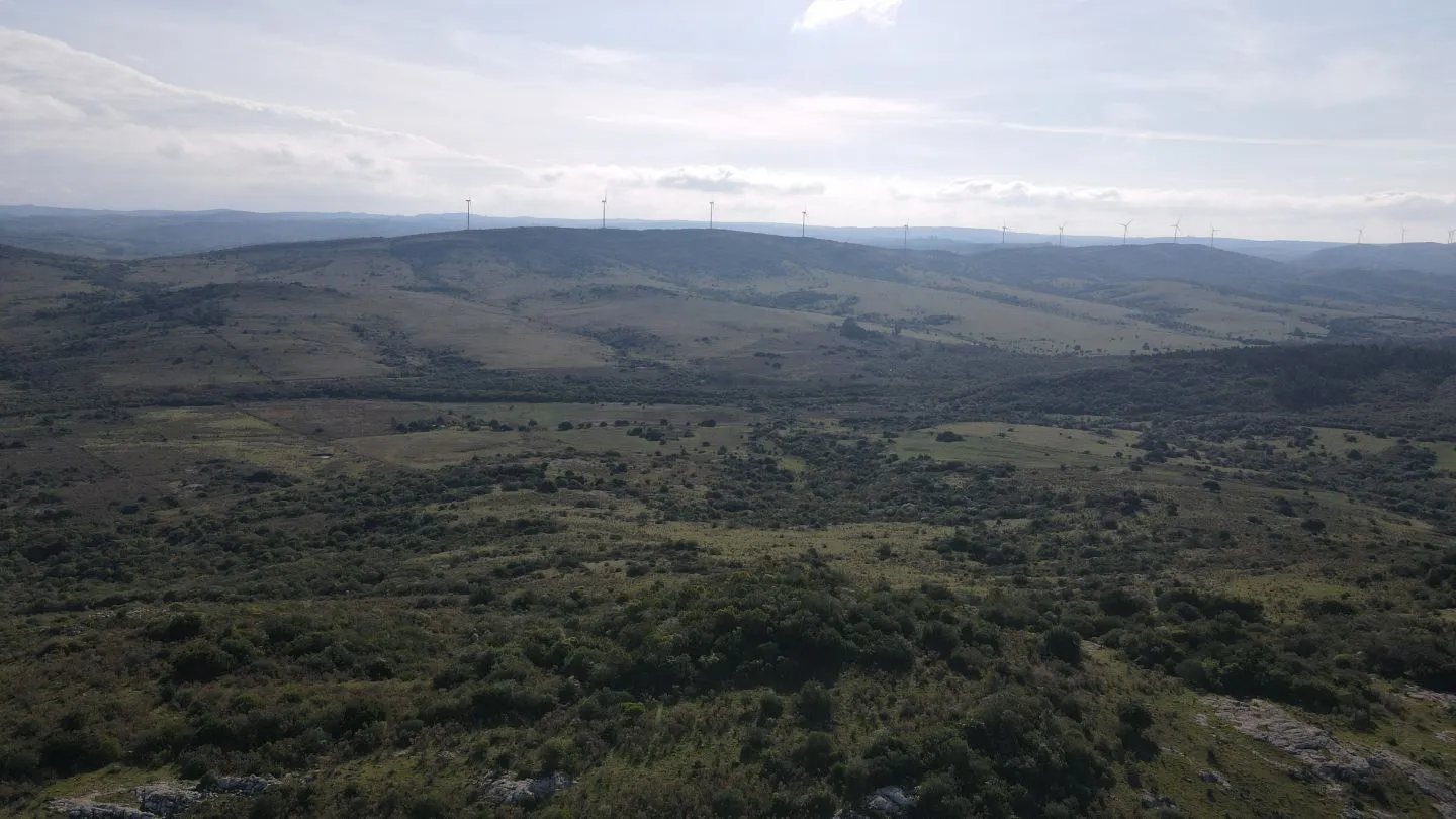 Campo de 55ha en Maldonado — foto 13