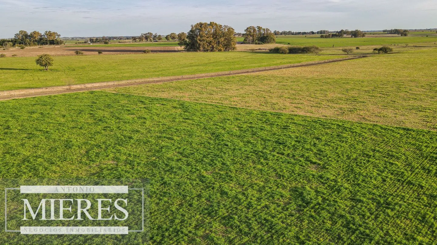Chacra / Campo 110 ha en Soriano — foto 18