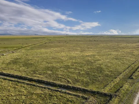 Venta campo 740 hás Rocha agrícola ganadero R 7085 — foto 2