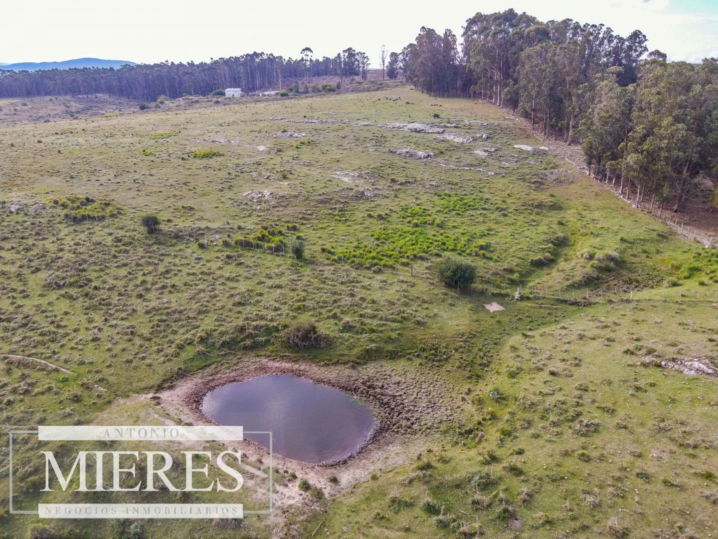 Chacra de 5ha Maldonado con vista a las sierras — foto 12