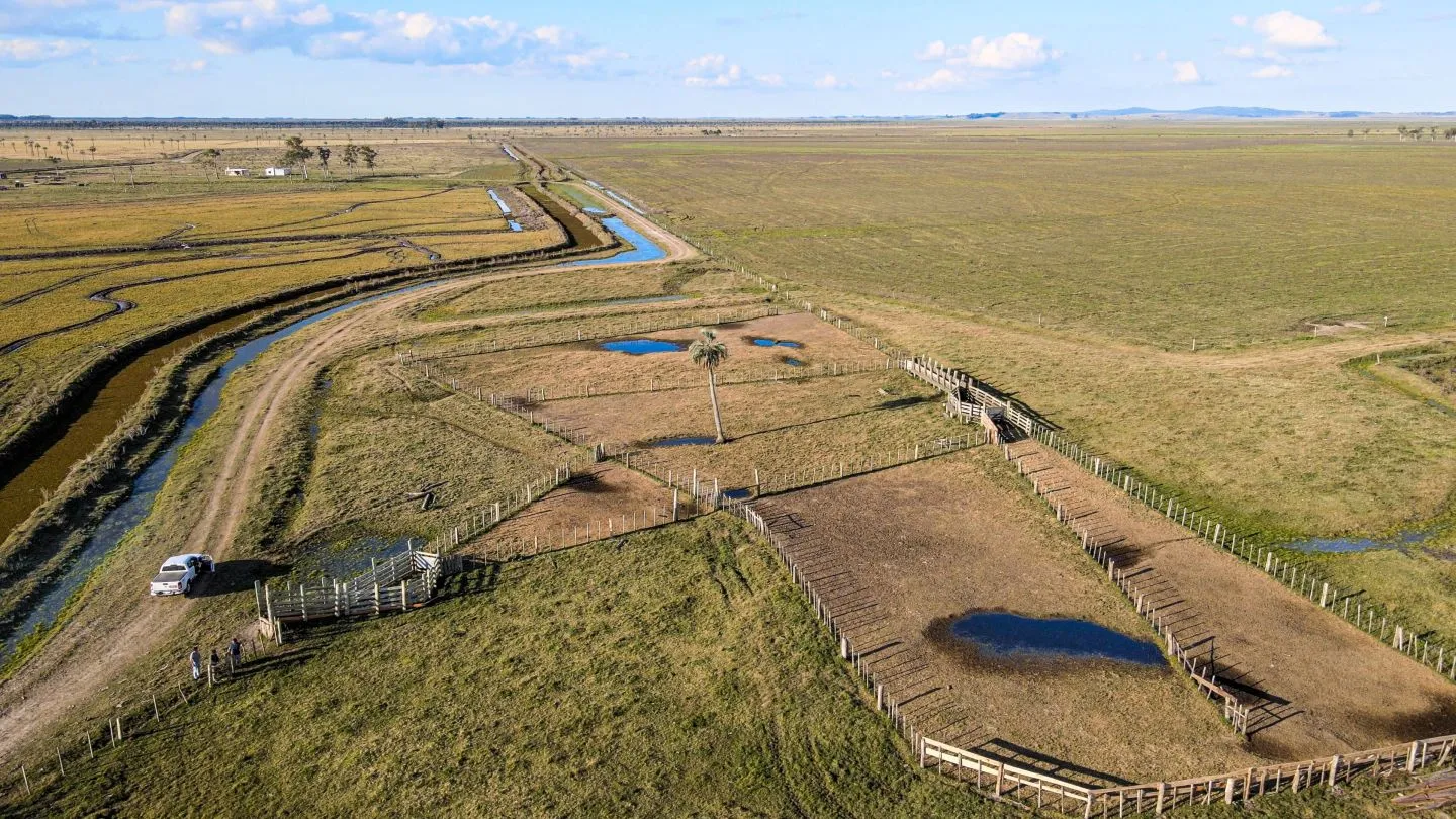 Venta campo 740 hás Rocha agrícola ganadero R 7085 — foto 4