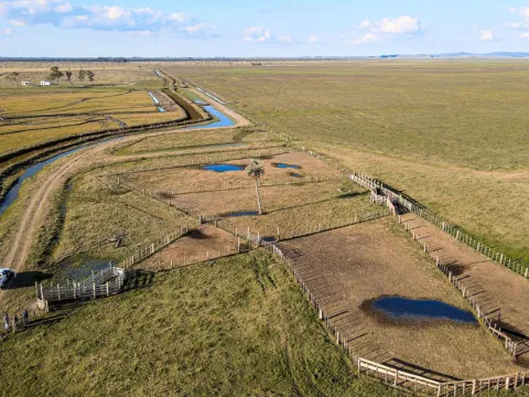 Venta campo 740 hás Rocha agrícola ganadero R 7085 — foto 4
