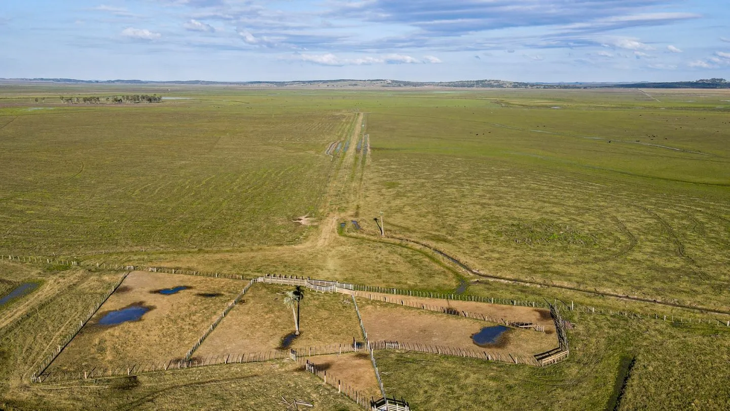 Venta campo 740 hás Rocha agrícola ganadero R 7085 — foto 5