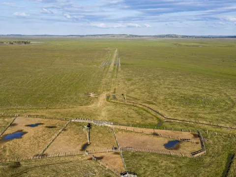 Venta campo 740 hás Rocha agrícola ganadero R 7085 — foto 5