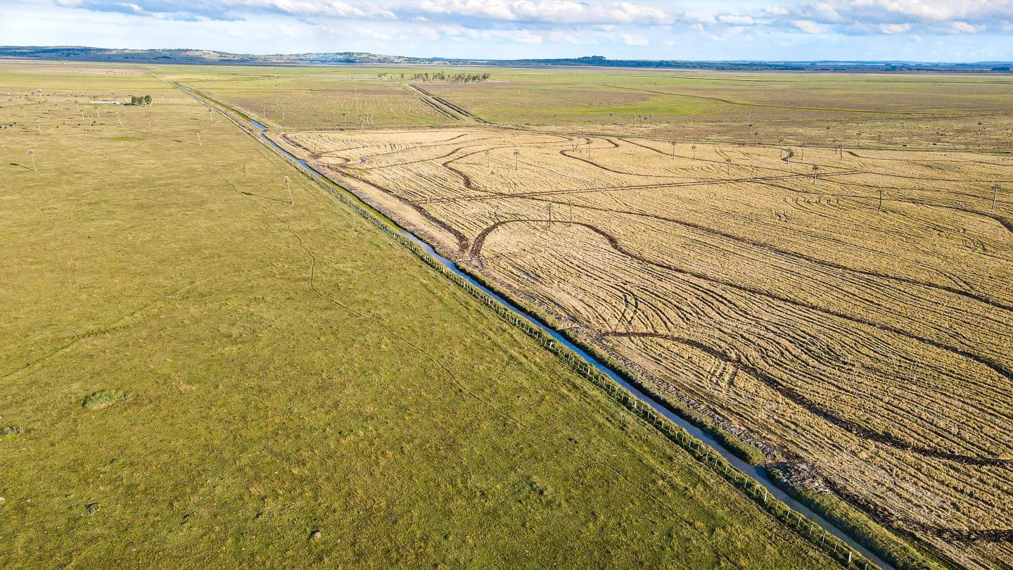 Venta campo 740 hás Rocha agrícola ganadero R 7085 — foto 6