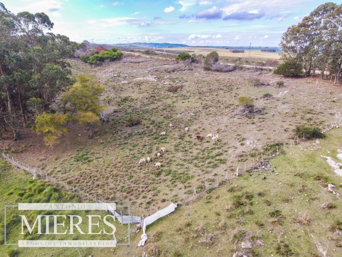 Chacra de 5ha Maldonado con vista a las sierras — foto 15